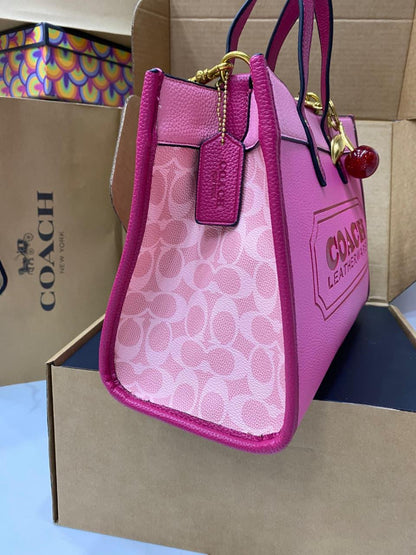 Coach Caviar Bag