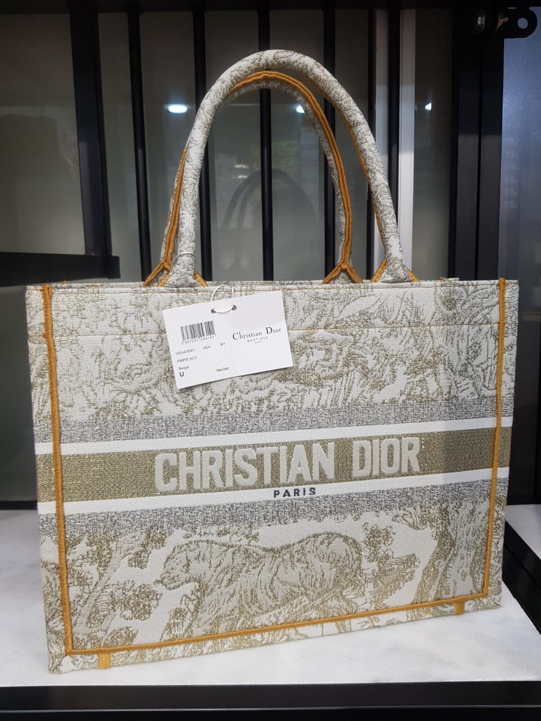 Dior Large Book Tote Solids Multi