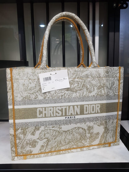 Dior Large Book Tote Solids Multi
