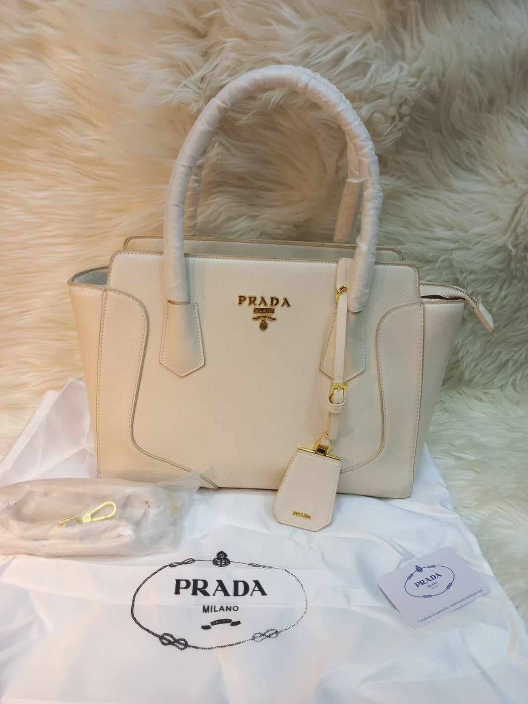 Stylish Prada Cross Hoke Bags