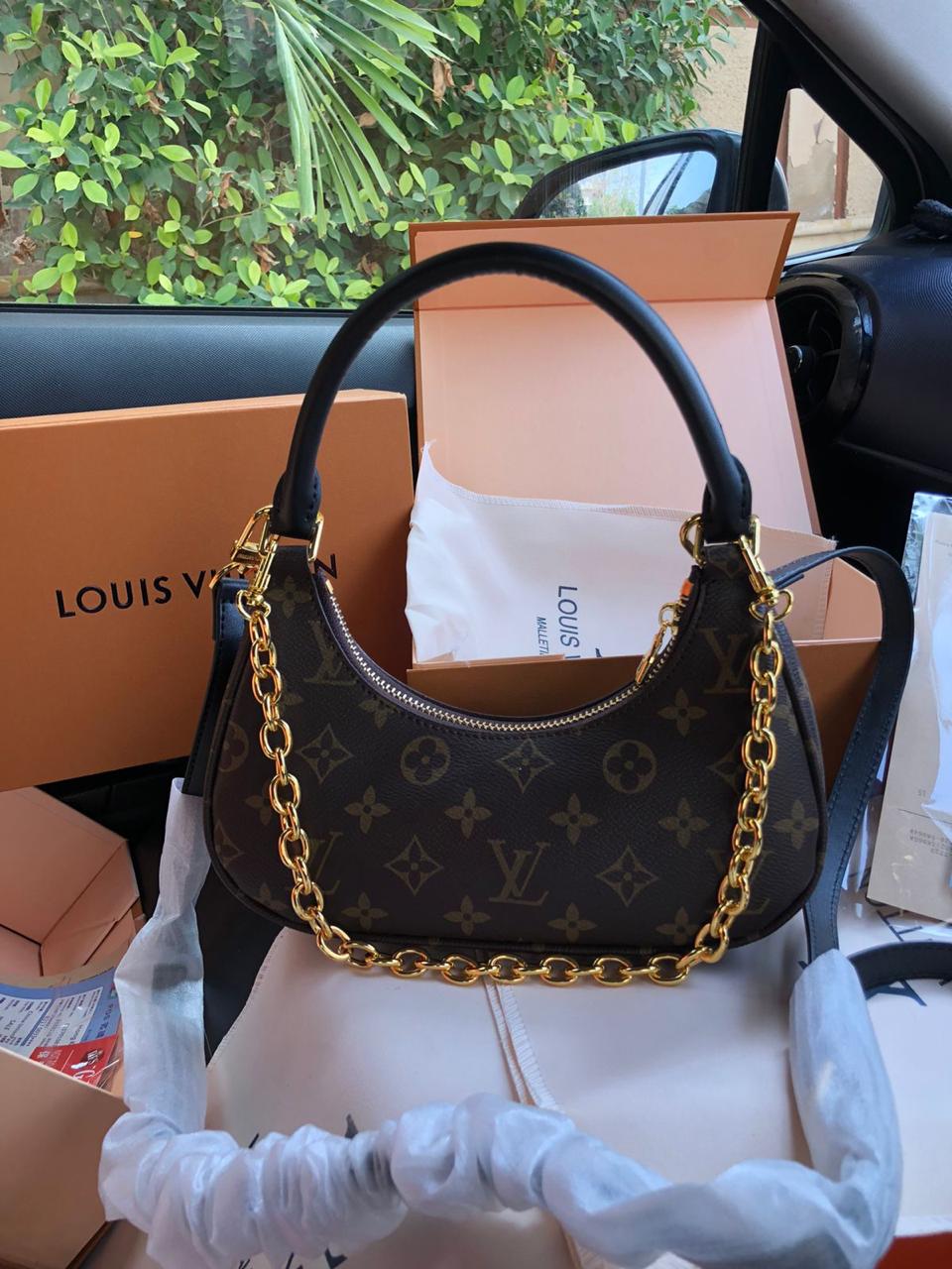 Lv Cloud Bag