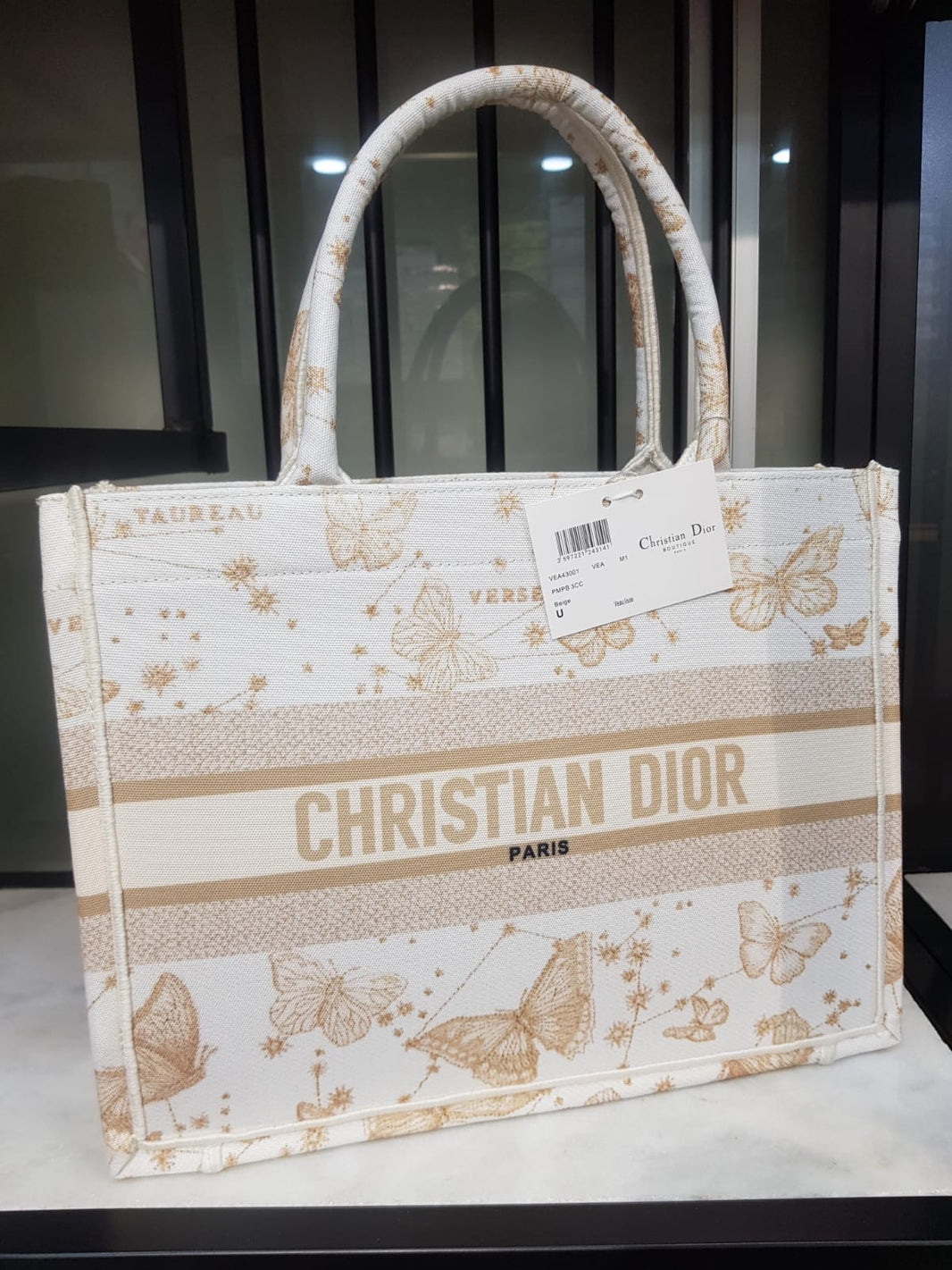 Dior Large Book Tote Solids Multi