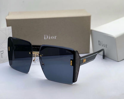 Dior Unisex SQ Sunglasses