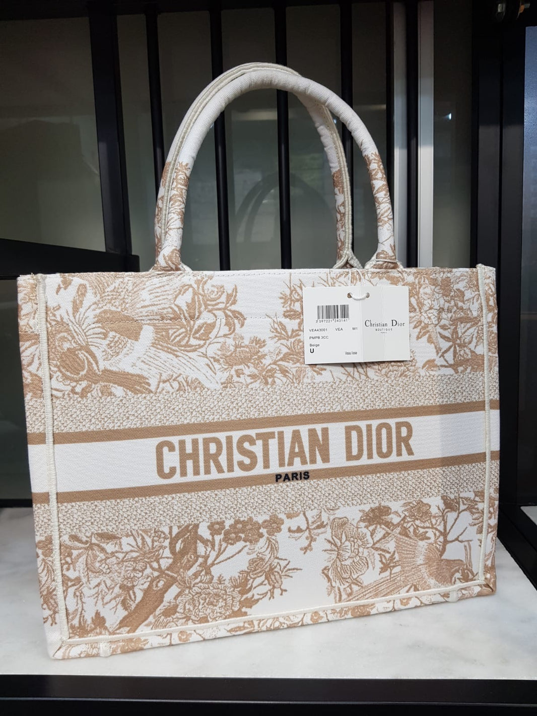 Dior Large Book Tote Solids Multi
