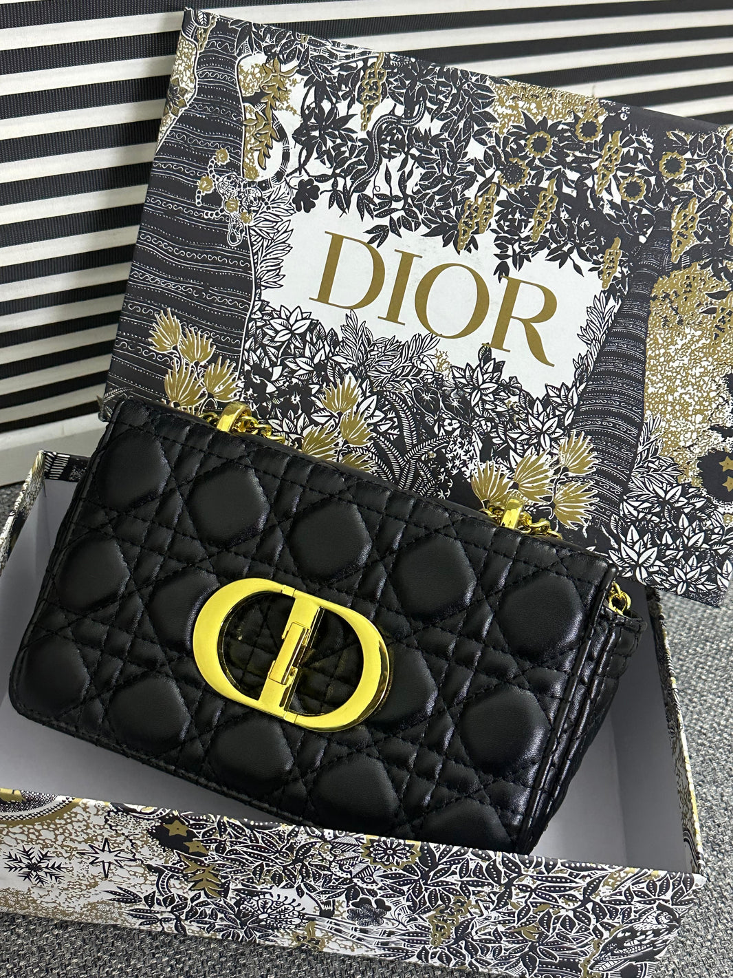 Dior Caro Small Bag