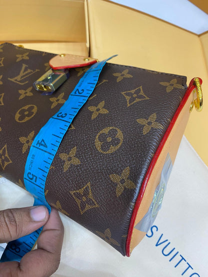 Lv Monogram Embroidered Pochette Bag