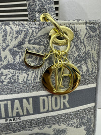 Christian Dior D-Lite Bags