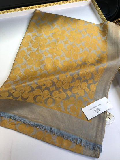 Christian Dior Scarves