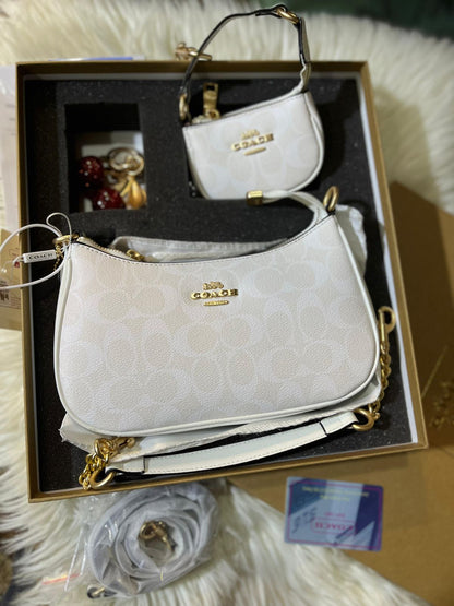 Coach Teri Bag Gift Set
