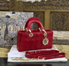 Lady Dior Sepsin Bag