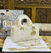Lady Dior Sepsin Bag