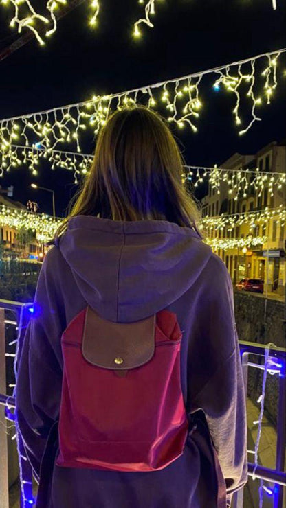 Long Champ Bagpack