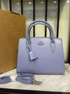 Coach Andrea Carryall Bag