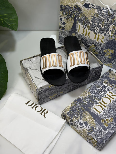 Cd Signature Slides