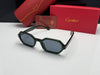 Cartier Unisex Sunglasses