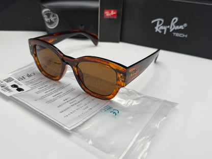 Rayban Unisex Sunglasses