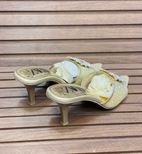 Zara Pointed Heels