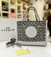 Luxury Brand Tagged Handbag