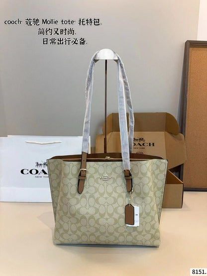 Coach Mollie Tote Bag 34 CV967