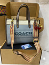 Coach Caviar Bag