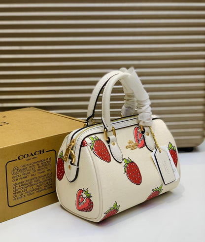 Coach Duple Small Bag